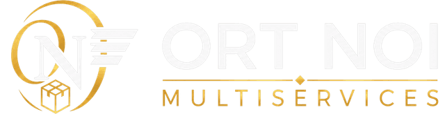 ORT NOI MULTISERVICES logo